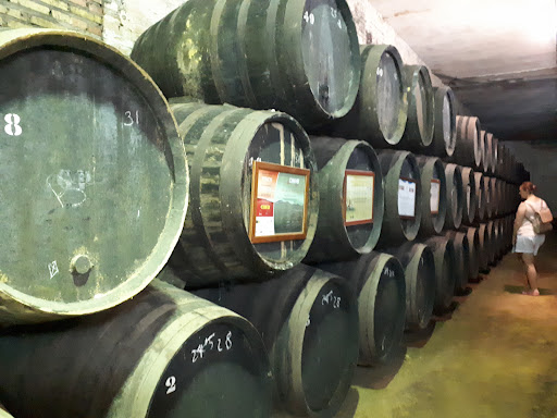 Bodega González Palacios S.L. (Bodega y Despacho) ubicada en Lebrija (Sevilla)