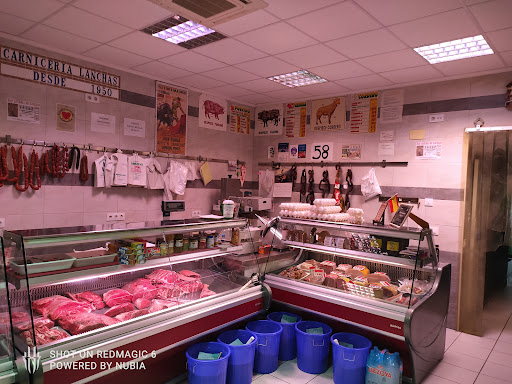 Carniceria Lanchas ubicada en La Adrada (Ávila)