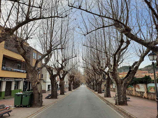 SUPERMERCADO ROMERO MORENO S.L. ubicada en Riópar (Albacete)