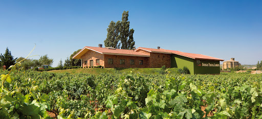 Bodega Pascual Larrieta ubicada en Samaniego (Álava)